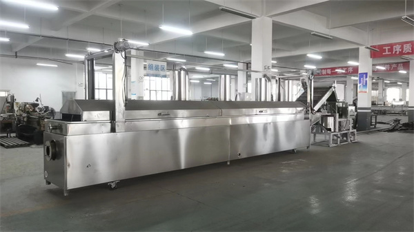 連續(xù)油炸機價格